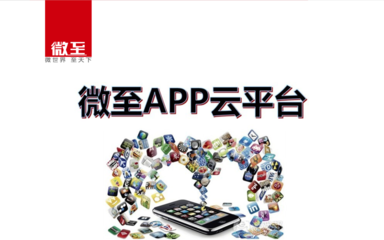 微至--专业APP开发定制.ppt